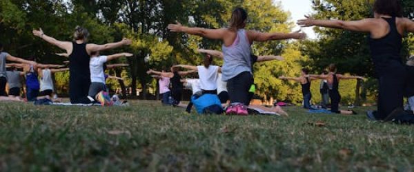 Group of adults practicing yoga outdoors in a park surrounded by trees.